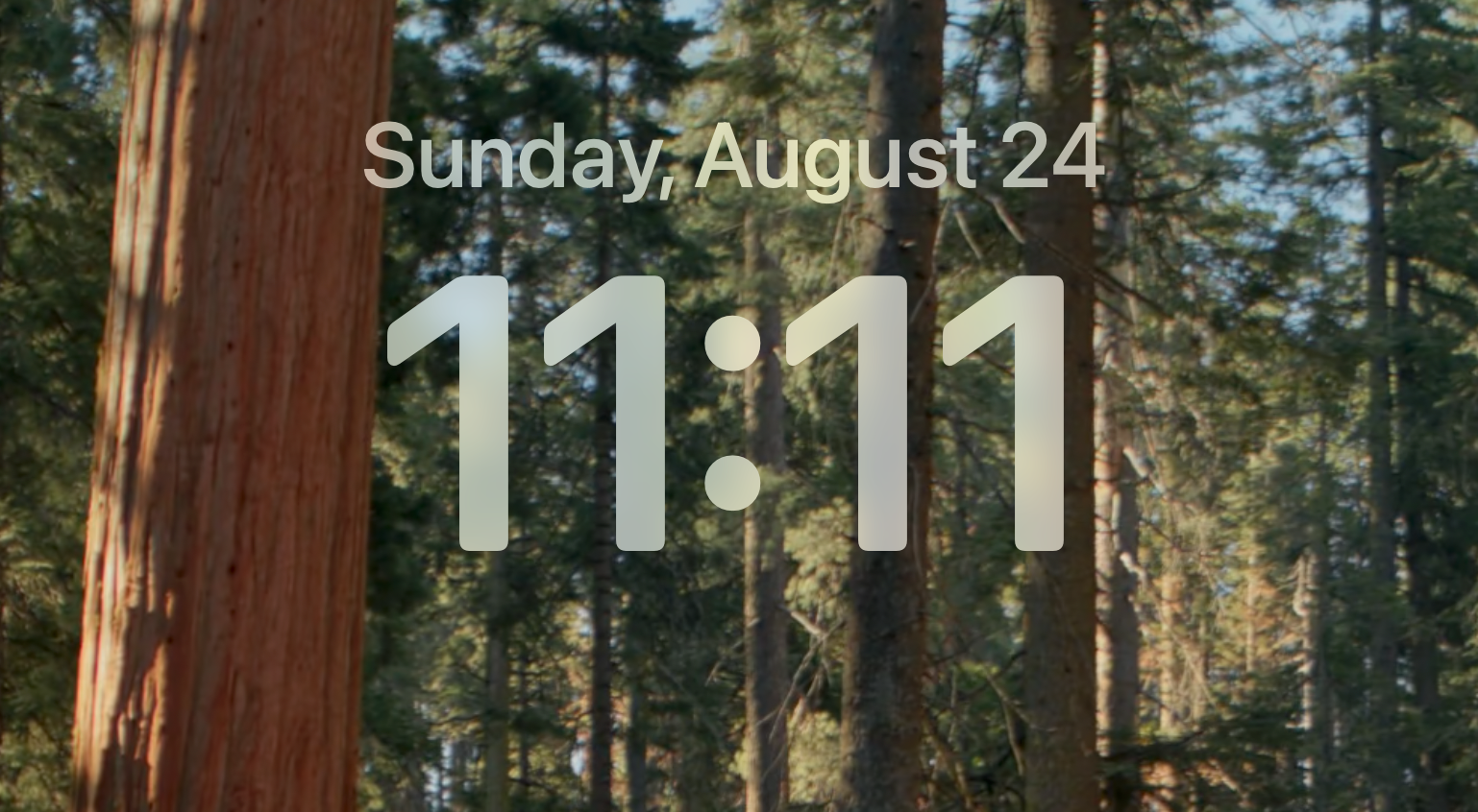 Screenshot 2025 08 24 at 11.11.28 PM