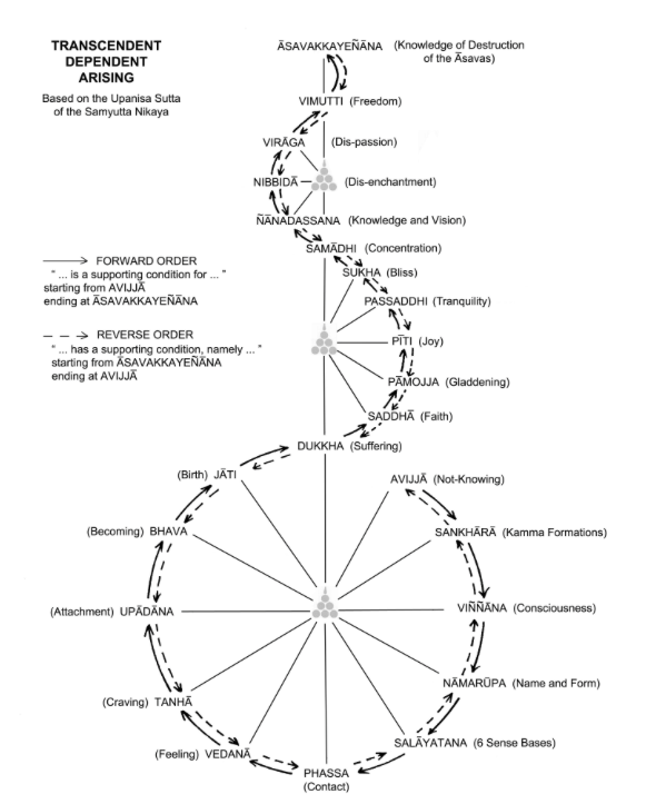 TranscendentDependentArising