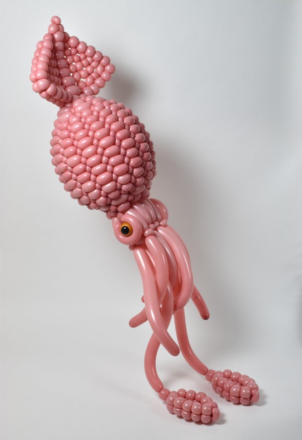 balloonsquid