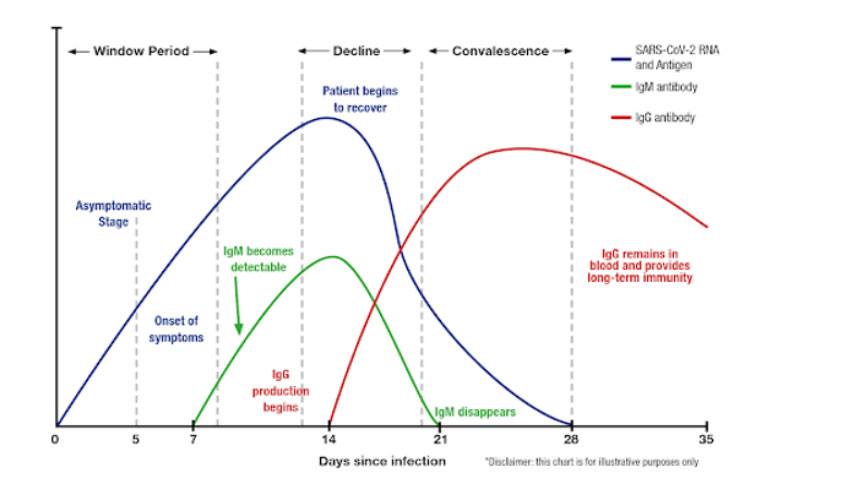 coviddiseasetimeline