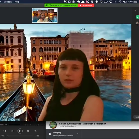RavenInVenice