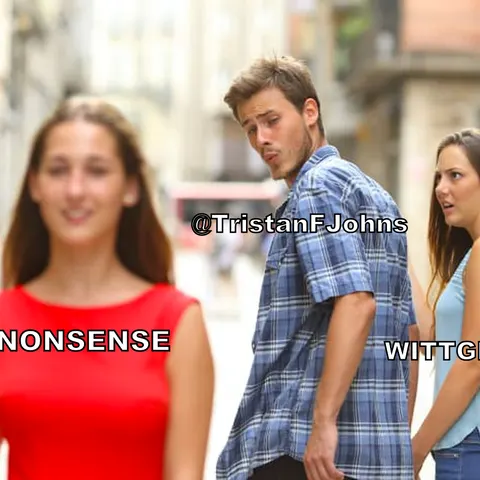 WittgensteinMeme