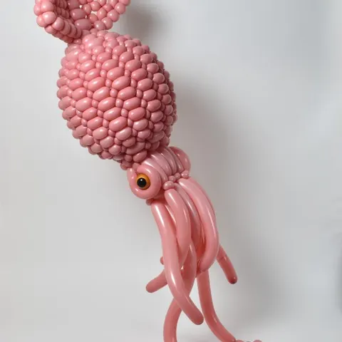 balloonsquid