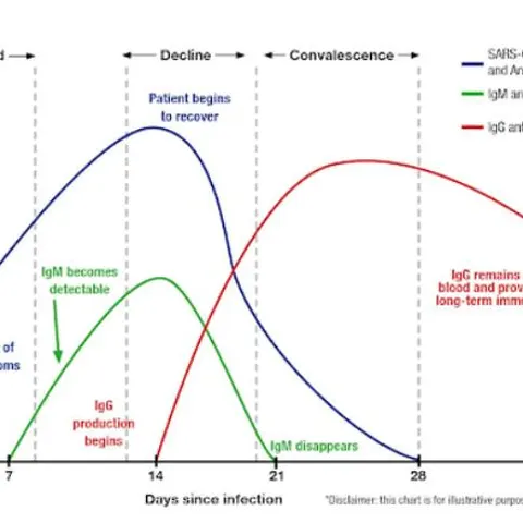 coviddiseasetimeline